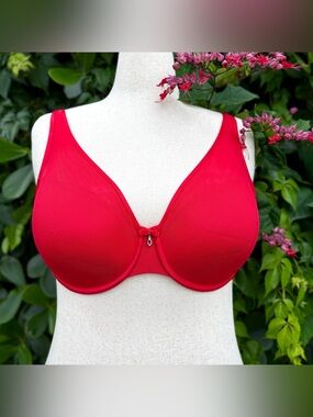 Curvy Couture Red Mesh Plunge Bra Size 36G T-Shirt Sheer Full Coverage Hearts